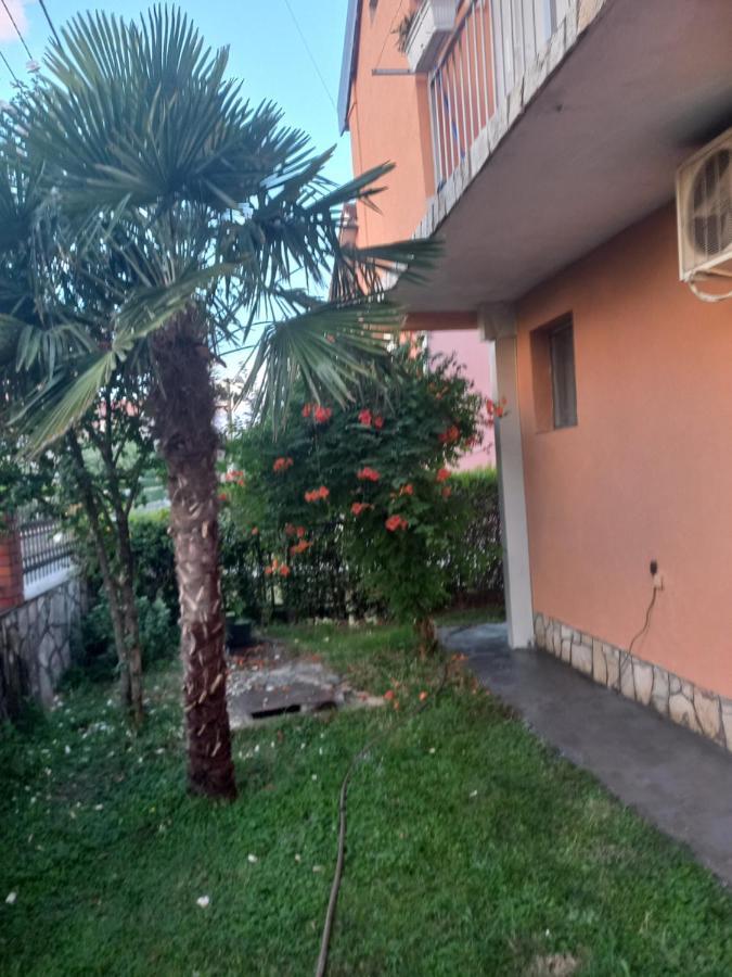Traveler'S Rest - Near Podgorica Airport Pansiyon Mitrovici  Dış mekan fotoğraf
